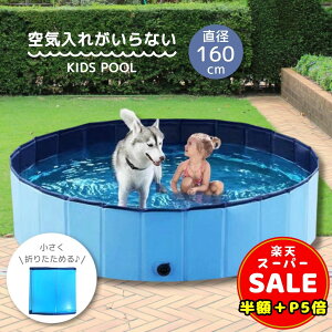 _z^y300~OFFP5{z܂ v[ Csv 1.6m ^ ƒpv[ rj[v[ ^ lC M qp v[ w ybg v[ V [ȒP ݒuȒP CRꖳ