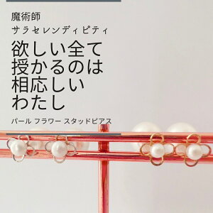 S359  lq p[ t[ X^bh sAX TEZfBseB EBbJ̖@ p ANZT[ F K10 10  ǉ      t[ p[ a