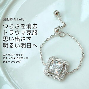 K369 ߂݂̉ gE} s^ȏo GhJbg }`_Ch `F[O N.kelly   J^  Ȃ oX t[TCY 肢 肢 