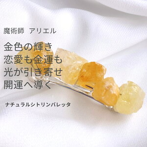 A116 J^ ̓Vgŉ ̗̃GlM[ lXȉq i` Vg ̃ob^@pt AG  ]  p ANZT[ ܂Ȃ LCn 