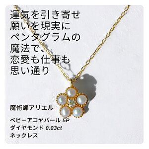 A218 ^C J^p 󋵂ς dvʂ y_O̖@ pt AG xr[ARp[ 5P _Ch 0.03ct lbNX @w 䊐   K10 p