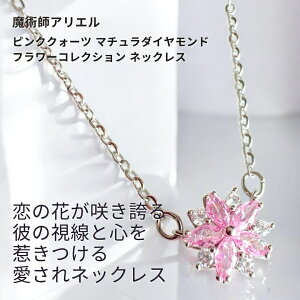 A18 _AtfB[e̗ sNNH[c }`_Ch ͎䂫   t[RNV lbNX pt AG ^  Ўv 