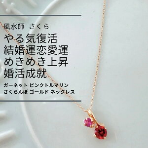 461 Cu^̏ov^  ^ グ K[lbg sNg}  S[h lbNX K10 搶   ^CP ANZT[  g 