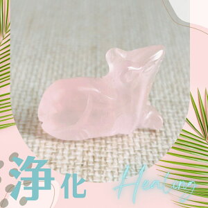 X601 ɖ|MYޗ̊肢ACȅ򉻁E [YNH[c lY~ 򉻃Xg[ VR J[  NX^[ p ^ Бz V ̂ { 2Ԗ s C