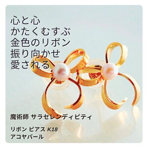 S299 SƐS ^̑Ɖ EBbJ̖@ { sAX K18 ARp[ TEZfBseB S[h a ^  A p[Xg[ pt S[h { 