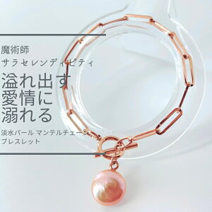 S248 Ɉ NK l̂l q Wp[ }e`F[ uXbg RCp[  VR lԊ֌W   { A 肢  A  