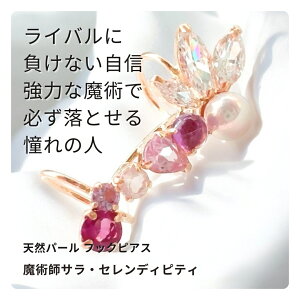 S192 ̖@ŐS񂹃Coo ^̃A~bg ZfBseB pt VR }`Xg[ t[  C[Jt p[Xg[ Wp[  