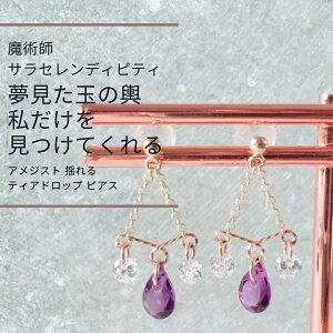 S227 lĈ̐lʂ̗` SĂ𖣗 mɗƂ AWXg h eBAhbv sAX ʂȃEBbJ̖@ TEZfBseB WG[ K10 }`_C