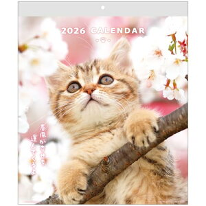 �A�N�e�B�u�R�[�|���[�V���� 2026 �J�����_�[ �Ǌ|�� CAT�E�H�[���J�����_�[ 26ACL-02 2026�N 1���n�܂�