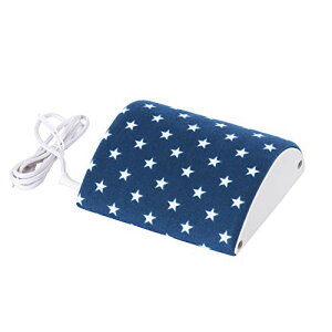 Ld(KODEN) dC R` u[  Kۉ x߉ ȃGl 킢 22×24.5cm VAY608-A