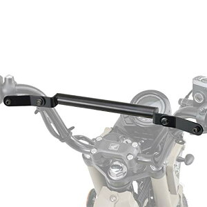 fCgi(Daytona) oCNp Nvo[ n^[Ju CT125(20-23)p }`}Ego[FE 16887