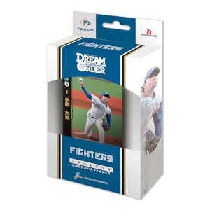 v싅J[hQ[ DREAM ORDER pE[O X^[gfbL kC{nt@C^[Y