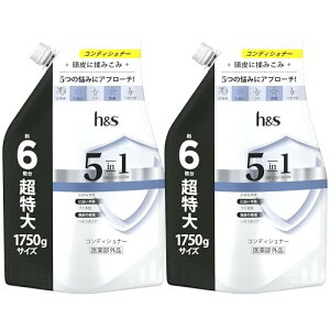 h&s 5in1 �R���f�B�V���i�[ 1.75L×2�Z�b�g �l�� ������T�C�Y �G�C�`�A���h�G�X