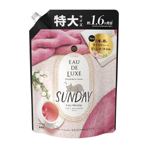 P&G mAI[hNX}Ch Tf[ l֓ 600ml