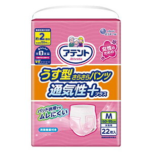 Aeg ^炳pc ʋCvX M p 22Ε