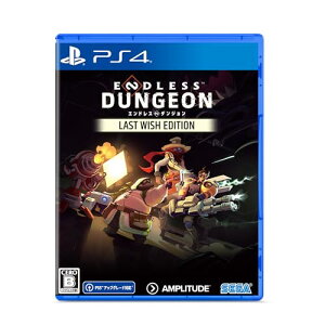 ENDLESS? Dungeon Last Wish Edition- PS4