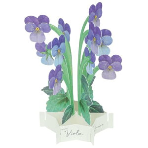 グリーティングライフ ブルーミングカード ミニ ビオラ KE-60
