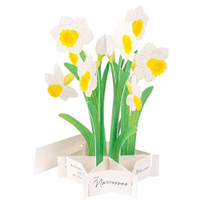 GreetingLife(O[eBOCt) u[~OJ[h XCZ KE-38