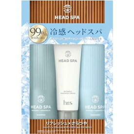 h&s 深体験ヘッドスパ (エイチアンドエス) h&s深ヘッドスパ シャンプー&トリートメント+リフレッシュマッサージクリーム 435g+435