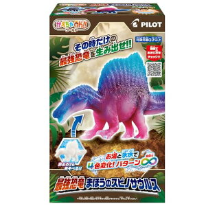 pCbgR[|[V(PILOT CORPORATION) Oh?[h ŋ܂ق̃XsmTEX