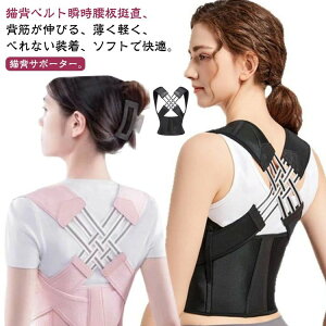 pT|[^[ j fB[X   Lw  pxg Lwxg ̓ Lwxg Ci[ Y