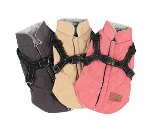 ^ ̕ ~ hbOEGA p[X Ȃ  p[X ~  ~  g  