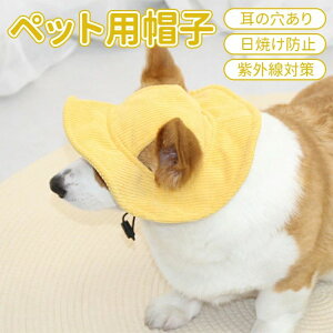 ΍ O΍ z ῂy  oXq 2type Lbv nbg R[fCXq