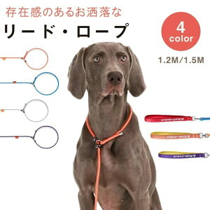  [h ֈ̌^  ^ ^ ^ AEghA g[jO Pp Xbv[h ybg