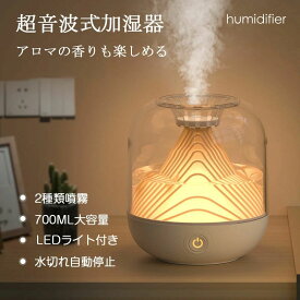 寝室用 オフィス 部屋 乾燥対策 除菌 エコ 節電 省エネ 自動停止機能 空焚き防止 5時間連続使用 超静音設計 LEDライト 軽量 給水