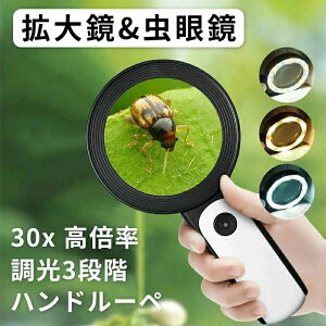  蕨  ΊӒ ώ@ Ǐ y ዾ Ǐ[y 12LEDCgt 莝[y [y 3iK Y