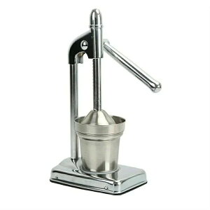 304XeX| IW/i W[T[ 蓮 nhW[T[ ƒp