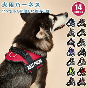 nht ȒP  EȂ Ȃ  킢 ^ qD  l[ O n[lX  yz