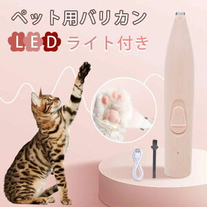 SgJbg    ybgoJ ᑛ g~O Jbg pi  Z type-c[d doJ 