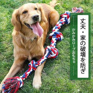 94CM   Ƌjh~ j  ^s ϋv XgX VRȕz  v ybgp ^ 