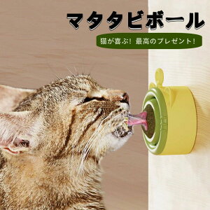 ߋ L ̃N[jO nbJ{[ }^^r{[ߋ LVԕ LLbgjbv L̂ Lbgjbv Lpi 