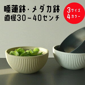 ɂ y  甫 ۔  vX`bN 40cm 35 30 ^ Aؔ y   _J XC @