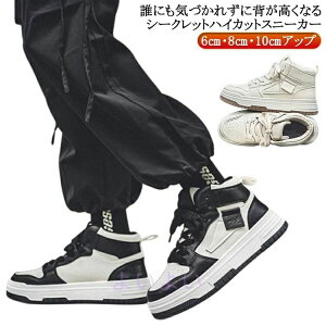 H vC t 6cm V[NbgV[Y  V[Y V[NbgXj[J[  Ȃ 8cm Xj[J[ Cq[