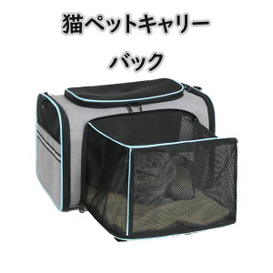 ^ lC L L[obO LA lʊg\ ^/^L//gxLA S[ht ʋC