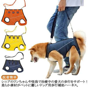  s⏕n[lX s⏕ Ȃ  Vn[lX pi ⏕