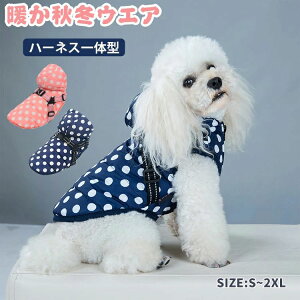 Oo EȒP N ₷ ʂ̕ H~ _E h h h ̌^ n[lX DJ ̕  