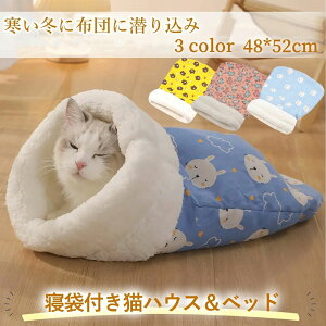 LN^[ LQ LӂƂ LbgnEXybgp }bg ^p Q ybgxbh }CN