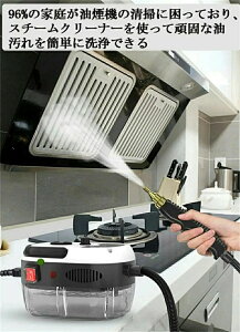 高圧 蒸気洗浄機 高温掃除機 ハンディ 小型 1L 2500W 110V 6段階調整 105℃ 消毒 除菌 ダニ駆除