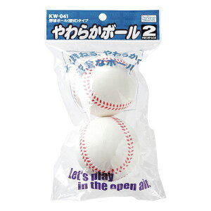 kaiser 炩{[ KW-041 d^Cv 2 |E^ {[ `OX  s zԎws