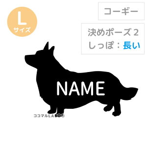 R[M[ XebJ[ V[ VGbg  EFVR[M[   Vv 킢 IWi hbOCJ[    ǎ CeA G ̎q I[_[