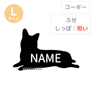 R[M[ XebJ[ V[ VGbg  EFVR[M[   Vv 킢 IWi hbOCJ[    ǎ CeA G ̎q I[_[