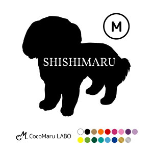 V[Y[ XebJ[ V[ VGbg  y MTCY z ybg  Vv 킢 JbRCC IWi hbOCJ[   ̎q