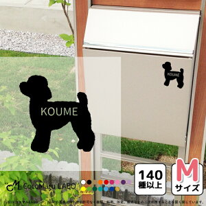 Iׂ錢 M VGbg XebJ[ V[  y MTCY 1 z ybg  Vv 킢 JbRCC IWi hbOCJ[  ̎q