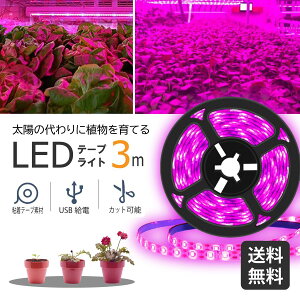 yT聚1000~ȏゲw15OFFzA琬Cg LED 3m e[vCg Apled h USBΉ  A琬led A Cg Ai ƒ؉ | ͔| k͔| e[vC