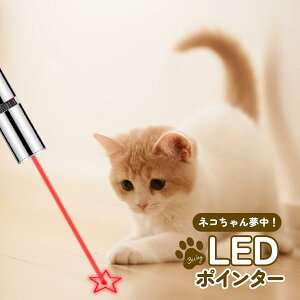 y_tf[XSiP10{zyr[]4.5ȏzL  LED |C^[ ˂ ߋ d USB[d ˂炵 ˂   lR V ^ L炵 Rp