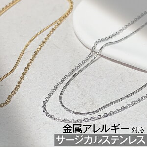 AM[Ή lbNX KXR[eBO T[WJXeX `F[ S[h Vo[ ؚ v[g fB[X  fC[ Mtg Vv A Xl[N`F[ 